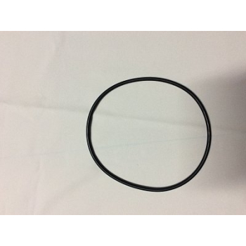 Těsnění těla čerpadla M-Swimm