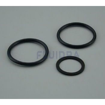 Těsnění torické 6-cest.vent. 599